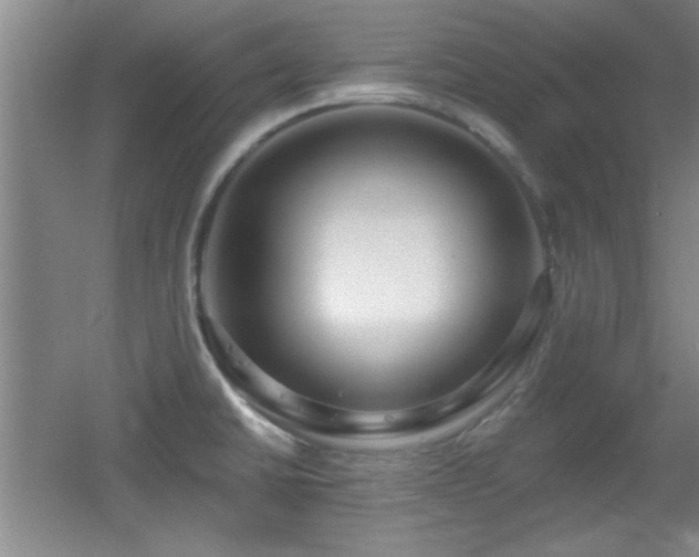 X0000056011430200508221443