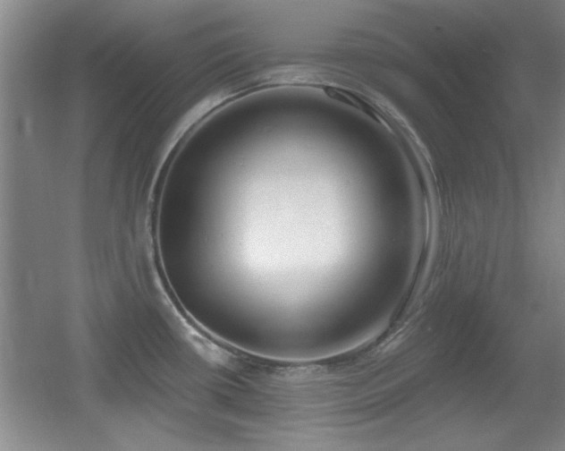 X0000056011434200508221443
