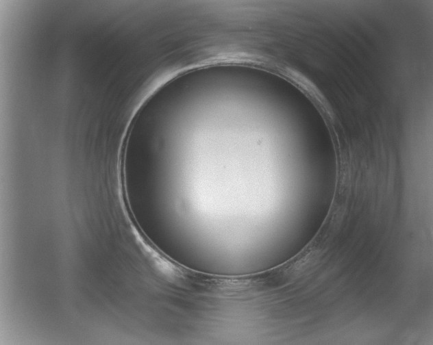 X0000056011439200508221443