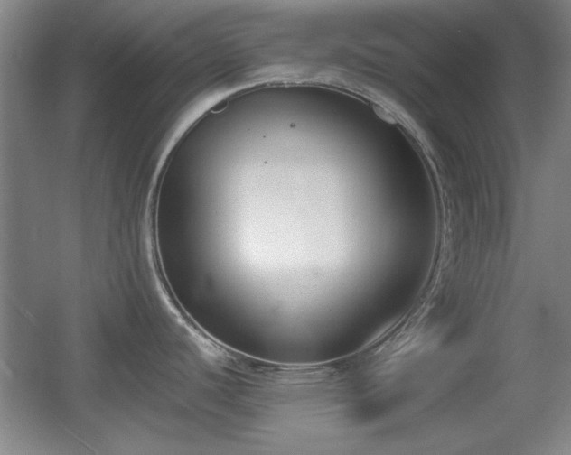 X0000056011440200508221443