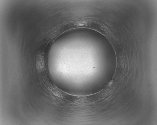 X0000056011442200508221442