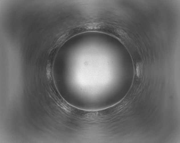X0000056011444200508221442