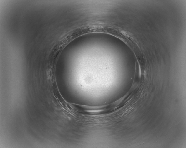 X0000056011445200508221442