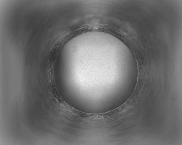 X0000056011446200508221442