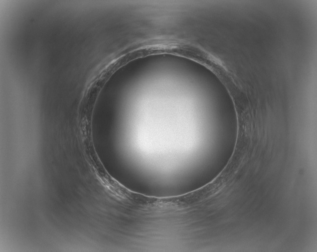X0000056011448200508221442