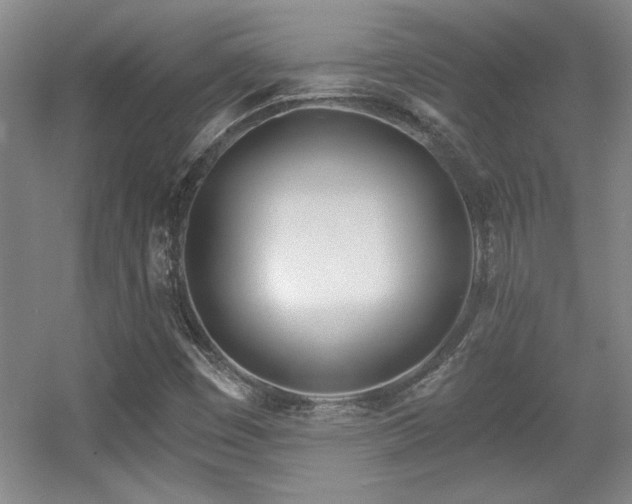 X0000056011449200508221442
