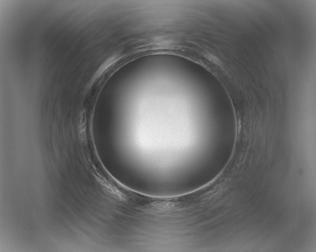 X0000056011450200508221442