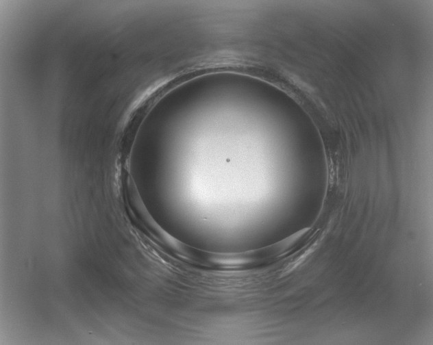 X0000056011453200508221442