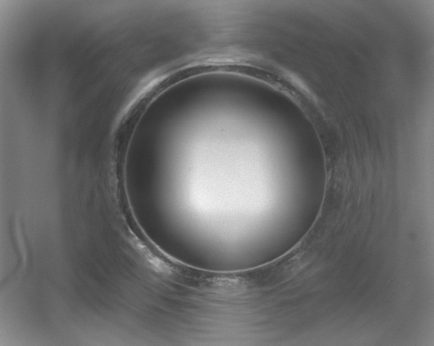 X0000056011456200508221442