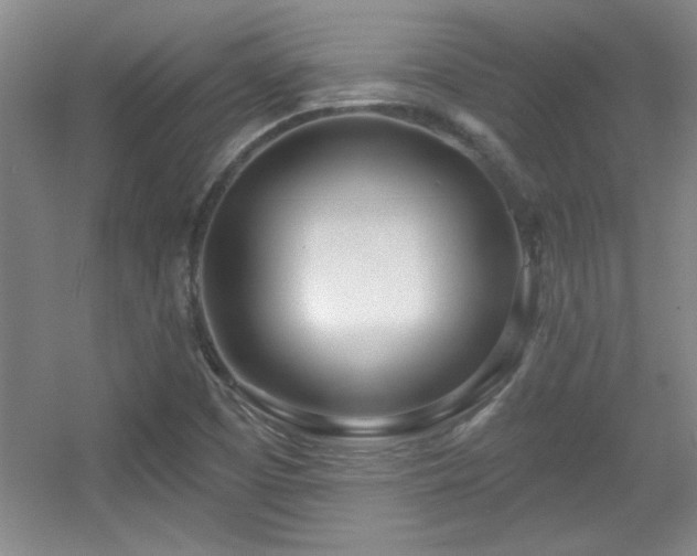 X0000056011457200508221442