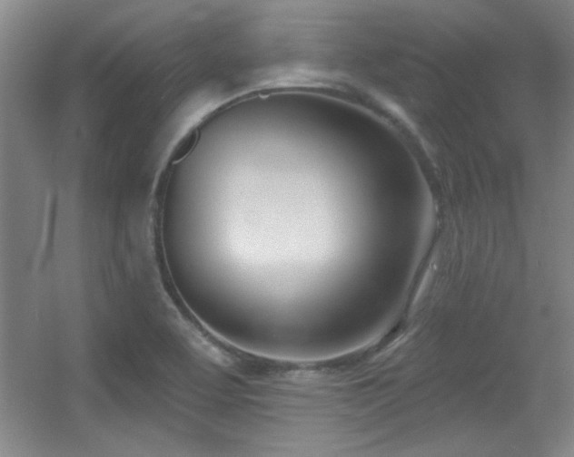 X0000056011463200508221442