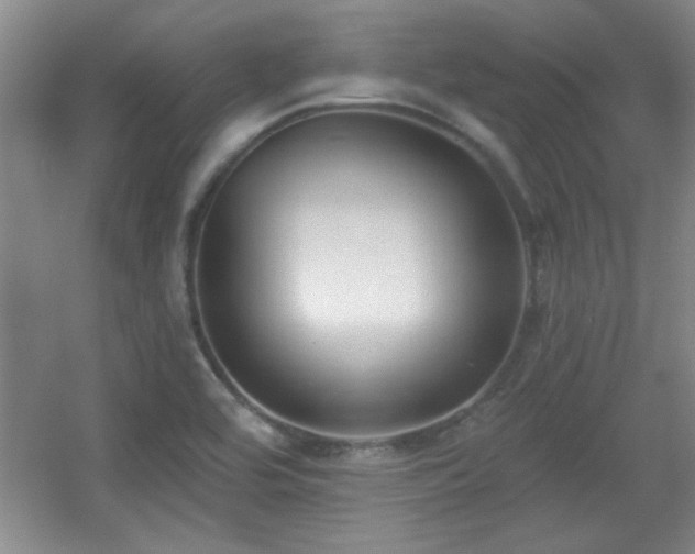 X0000056011464200508221442