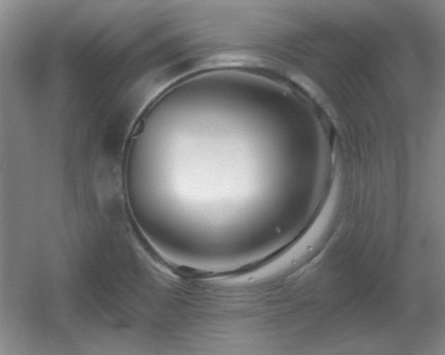 X0000056011465200508221442