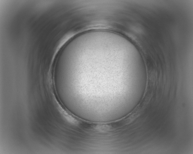 X0000056011466200508221442