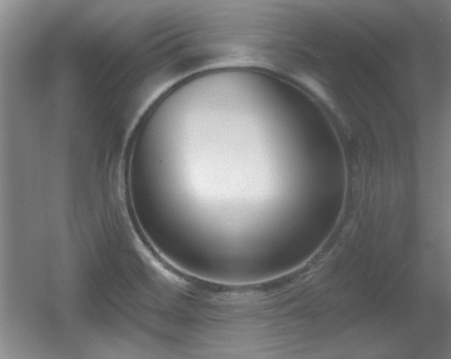 X0000056011468200508221441