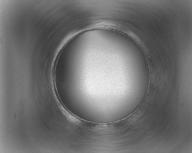 X0000056011478200508221441