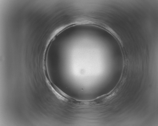 X0000056011485200508221441