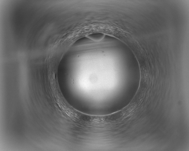 X0000056011489200508221440