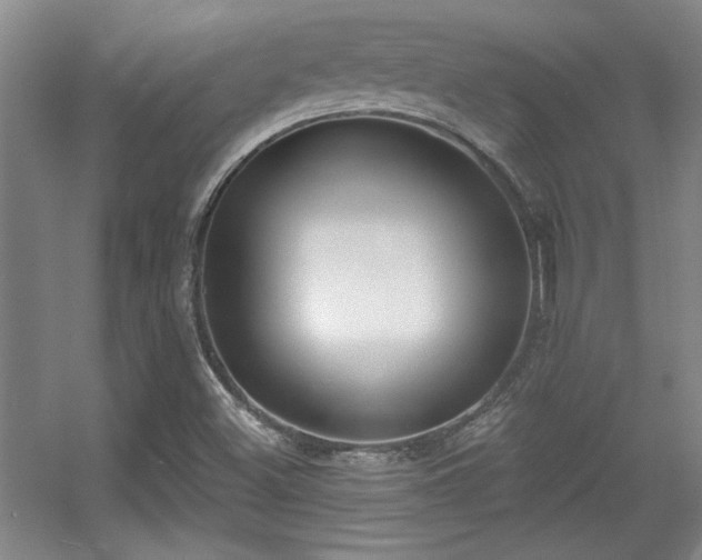 X0000056011500200508221440
