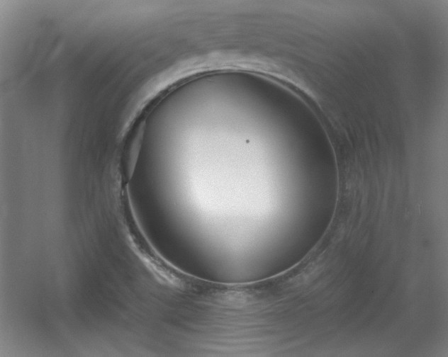 X0000056011507200508221441