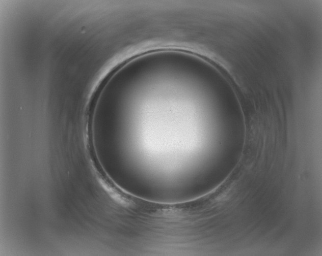 X0000056011511200508221441