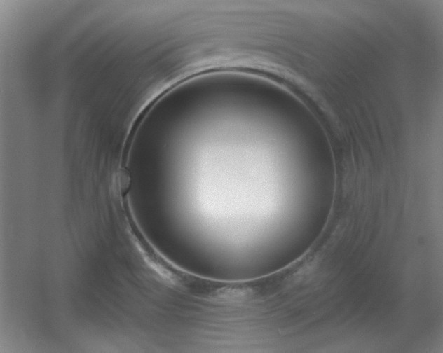 X0000056011513200508221441