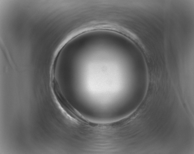 X0000056011520200508221441