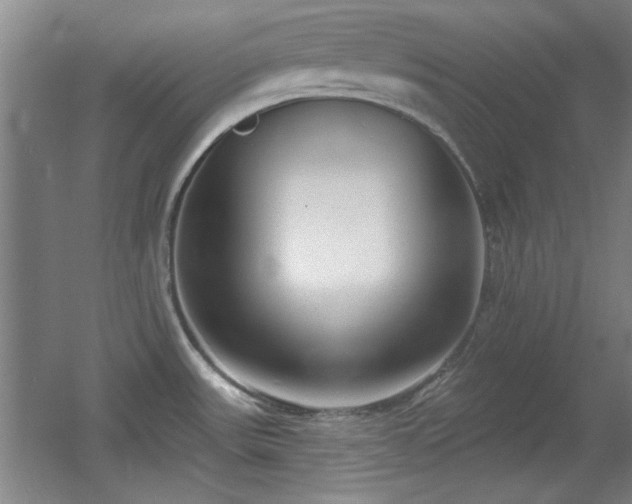 X0000056011531200508221441