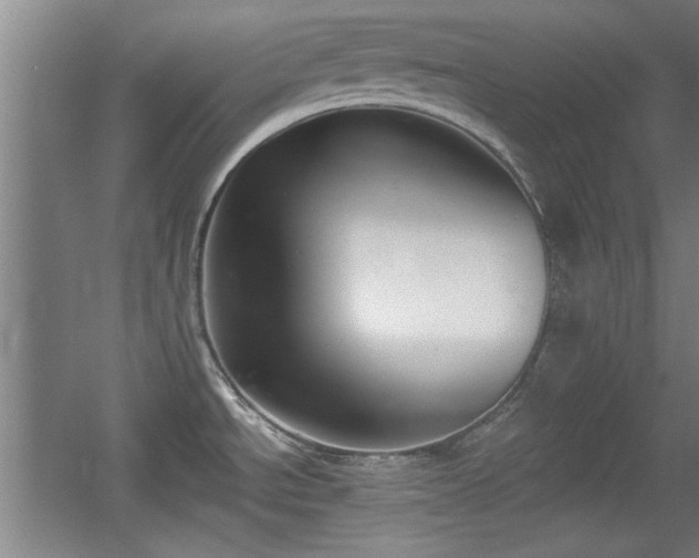 X0000056011534200508221441