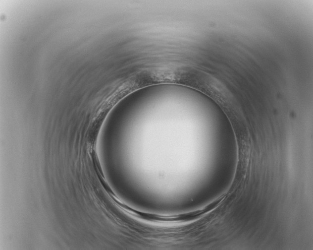X0000056010125200508261825