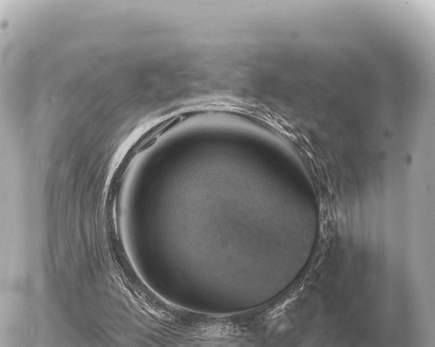 X0000056010200200508261824