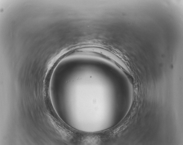 X0000056010248200508261822