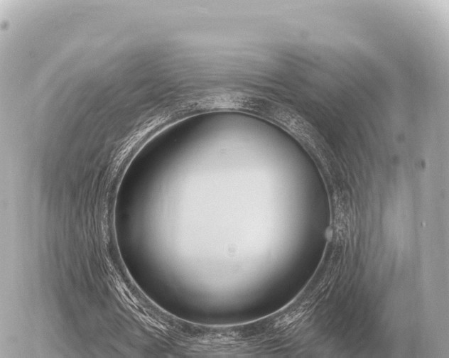 X0000056010386200508261821