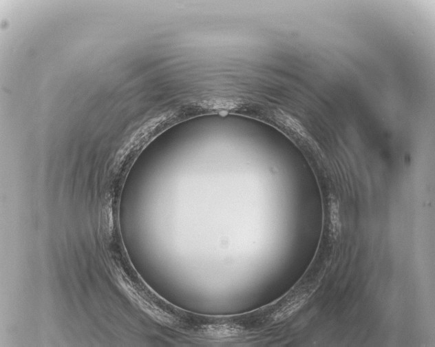 X0000056010541200508261818