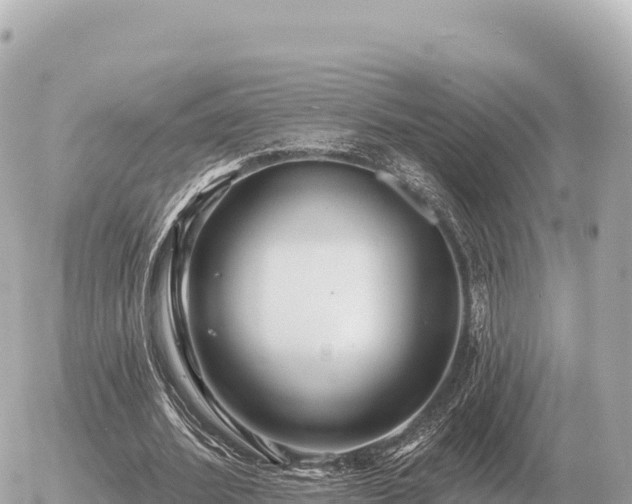 X0000056010580200508261817
