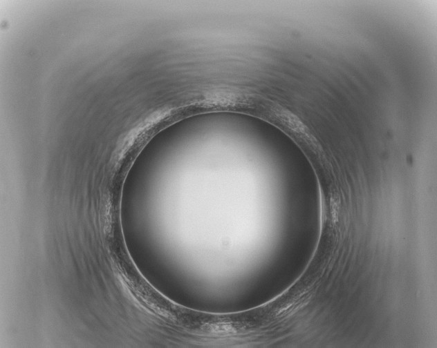 X0000056010588200508261817