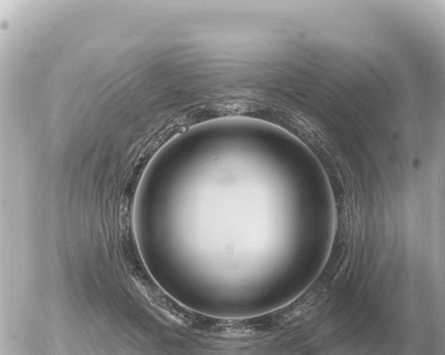 X0000056010601200508261817
