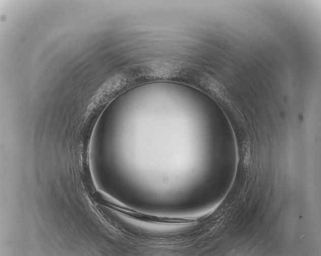 X0000056010685200508261815