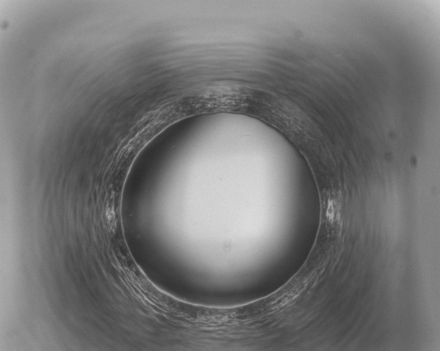 X0000056010771200508261814