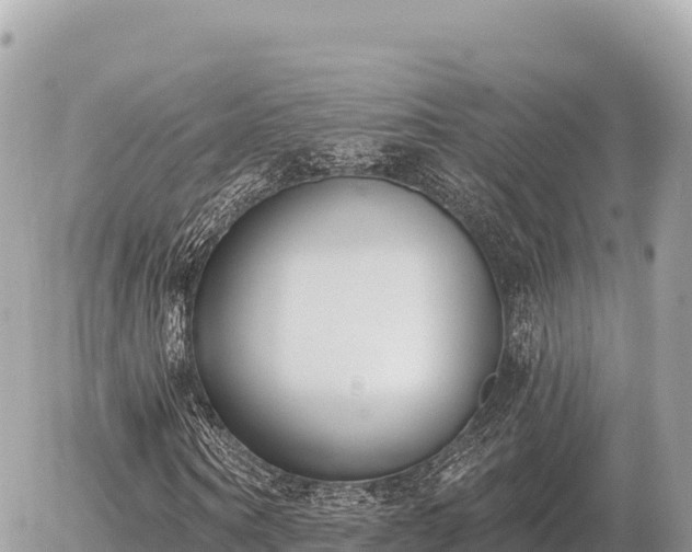X0000056010866200508261812