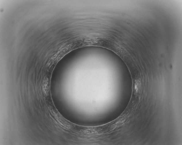 X0000056010867200508261812