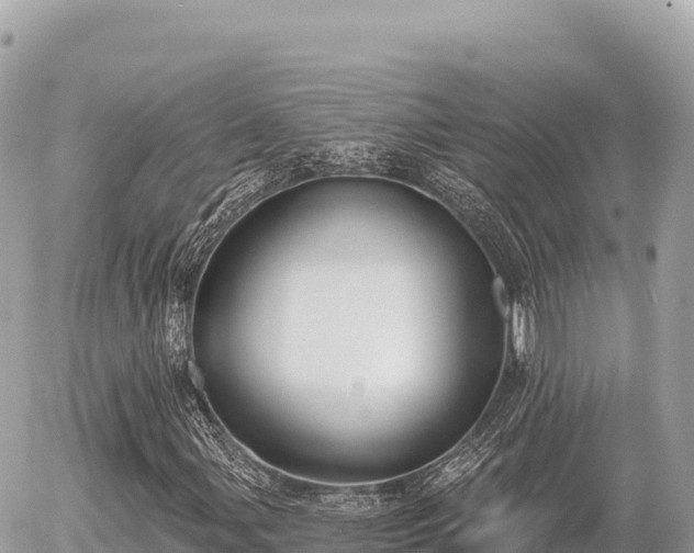 X0000056011107200508261808