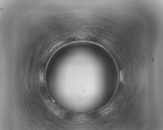 X0000056011155200508261808