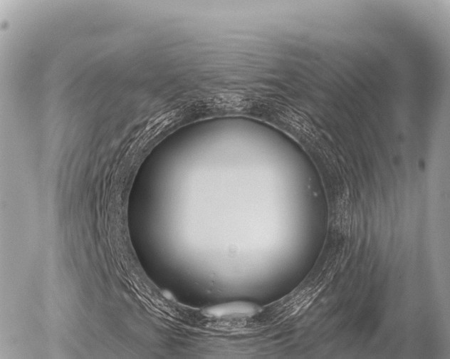 X0000056011201200508261806