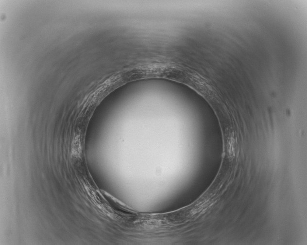 X0000056011204200508261806