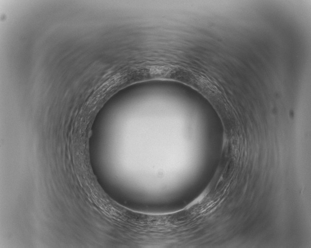 X0000056011249200508261806