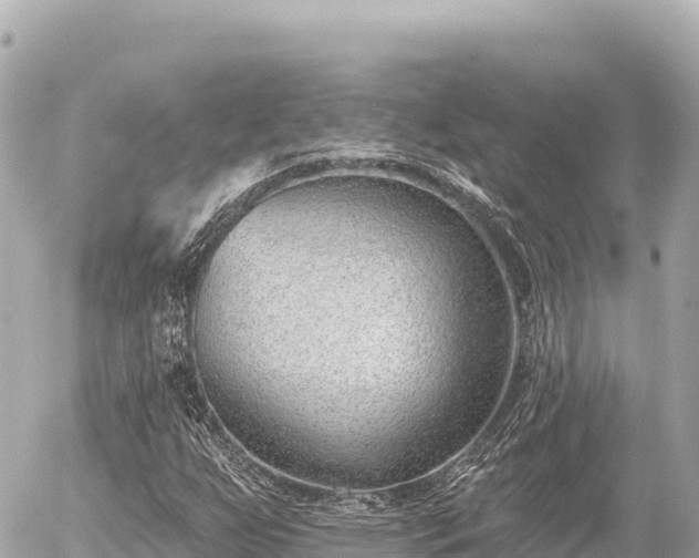 X0000056011255200508261806