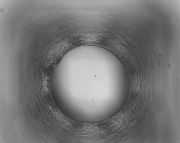 X0000056011346200508261805