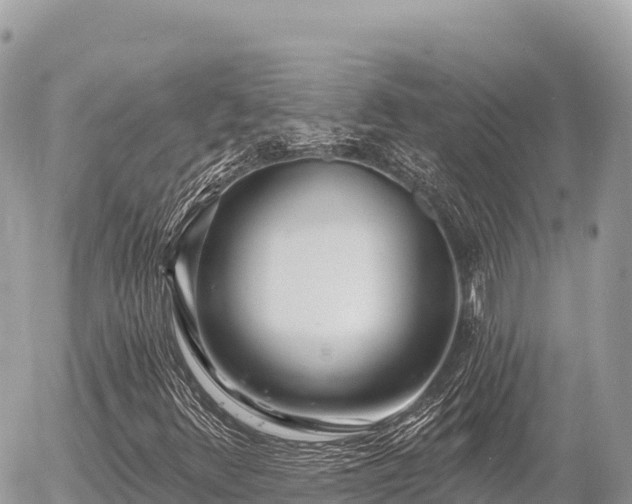 X0000056011348200508261805