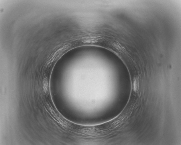 X0000056011444200508261803